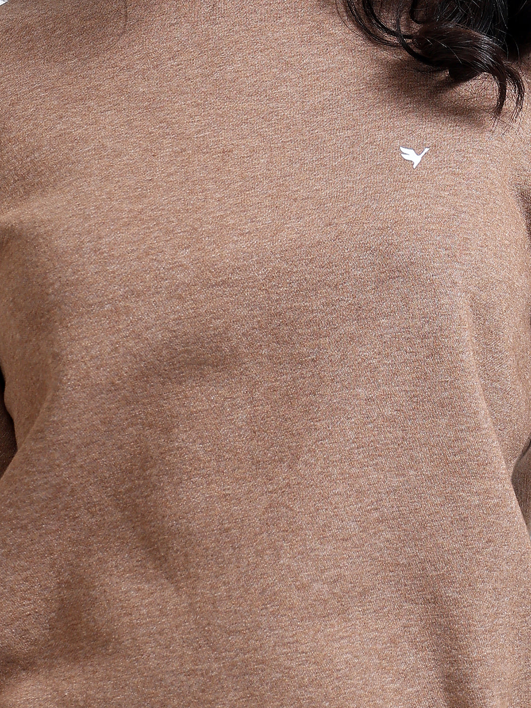 Amswan Women'S Brown Solid Sweatshirt