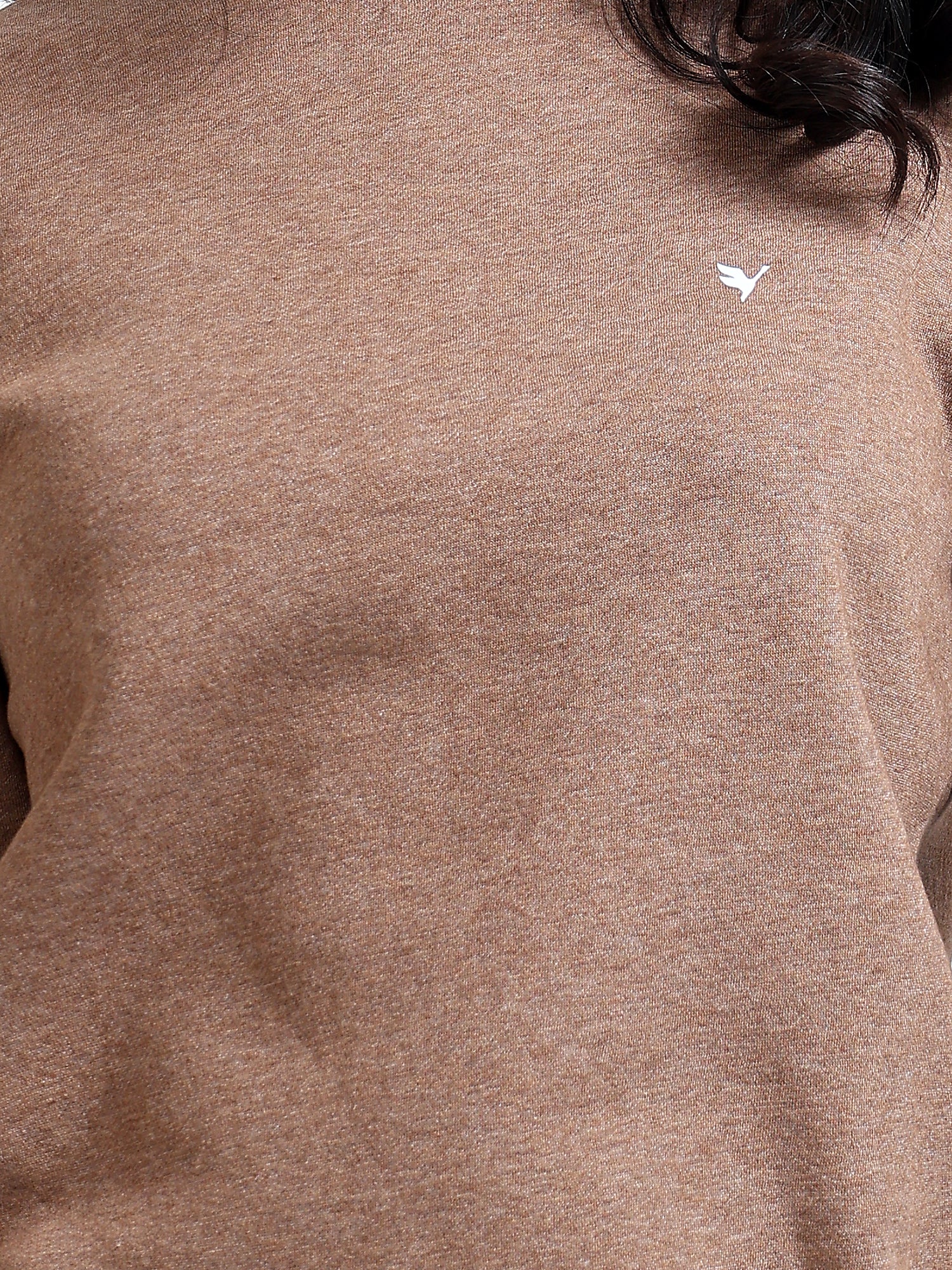 Amswan Women'S Brown Solid Sweatshirt